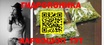 стаф Лесосибирск