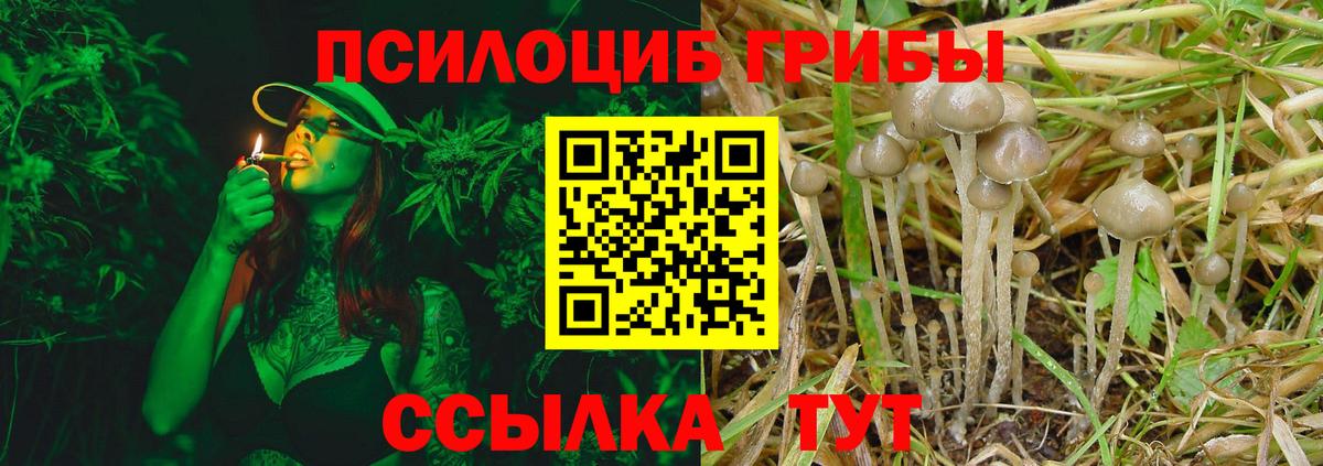 Галлюциногенные грибы ЛСД  Вход с VPN  Тара  Псилоцибиновые грибы Magic Shrooms 