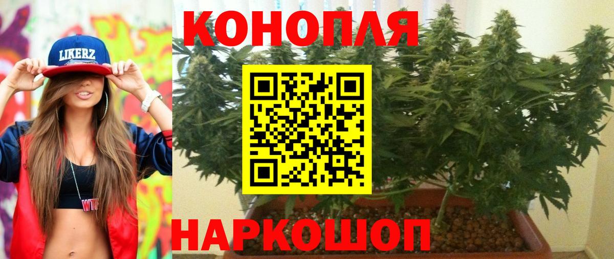 Тара  МАРИХУАНА Amnesia  Бошки Шишки индика  Вход с VPN 